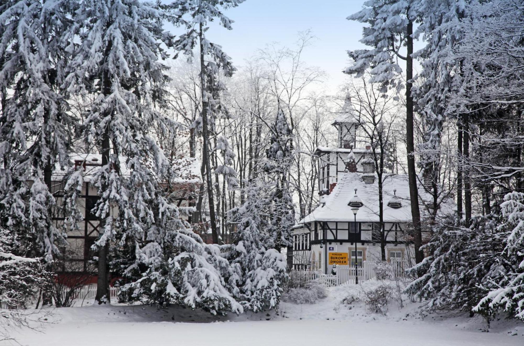 Bukowy Dworek Szczawno-Zdroj Exteriör bild