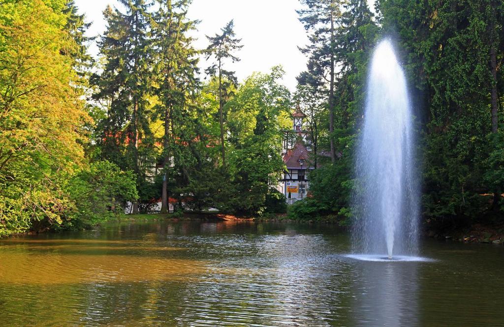 Bukowy Dworek Szczawno-Zdroj Exteriör bild